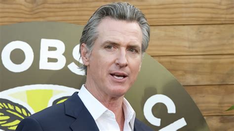 Gavin Newsom's Gray Hair Proves His Age Is Catching Up To Him After ...