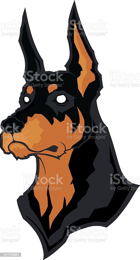 Doberman Head Mascot Stock Illustration - Download Image Now - Doberman Pinscher, Aggression ...