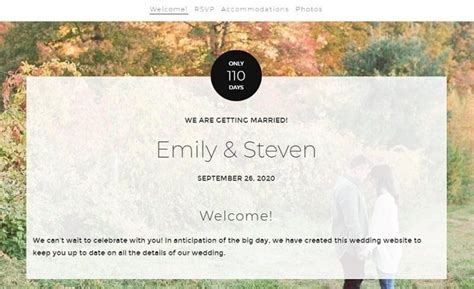 Wedding Website Examples, Tips, and Templates | Renderforest