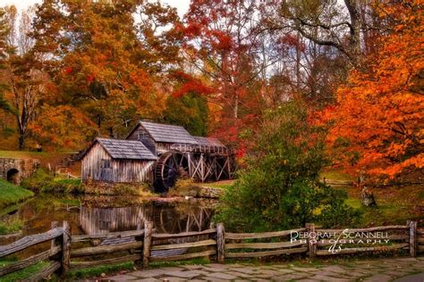 15 Stunning Fall Photos from the Blue Ridge Mountains | Fall photos, Blue ridge mountains ...