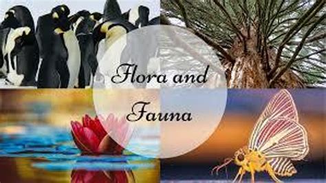 Fauna adds geo-isolation to globally distributed database cloud | ZDNET