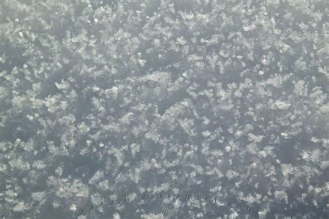 Snow Flakes | Photo, Information