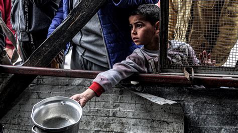 Half of Gaza at ‘Imminent’ Risk of Famine: IPC Report