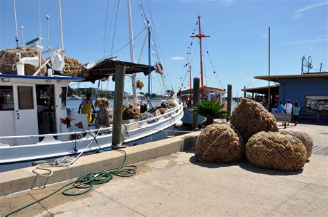 Things to Do at the Sponge Docks in Tarpon Springs