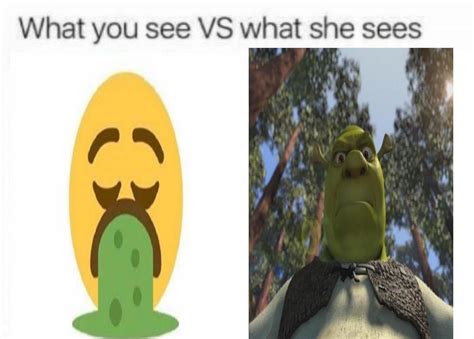 Shrek head : r/memes