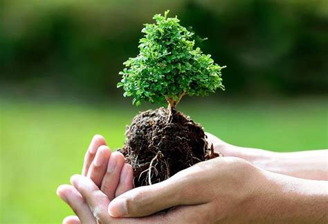 Feria de plantas en Tlalnepantla promueve cuidado a la naturaleza | PortalPolitico.tv