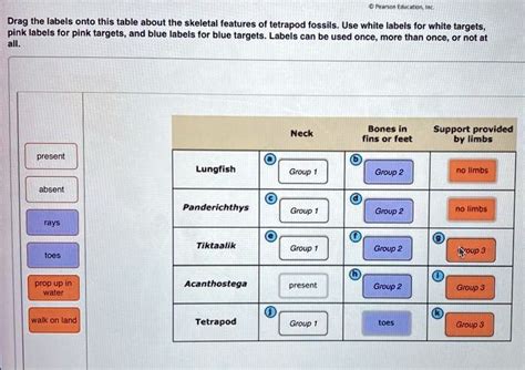 SOLVED: Drag the Jabels onto this table about the skeletal features of tetrapod fossils Use ...