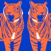 Blue Big Cat Tiger Roar Pattern Wallpaper - Hovia