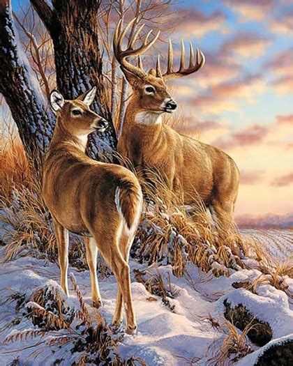 Deer in Winter From Wizardi - Diamond Painting - Kits - Casa Cenina