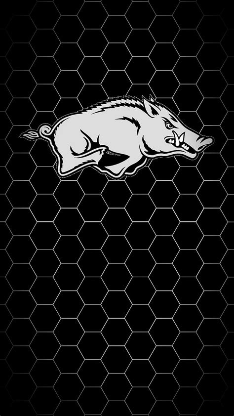 Aggregate 90+ razorback wallpaper - in.cdgdbentre