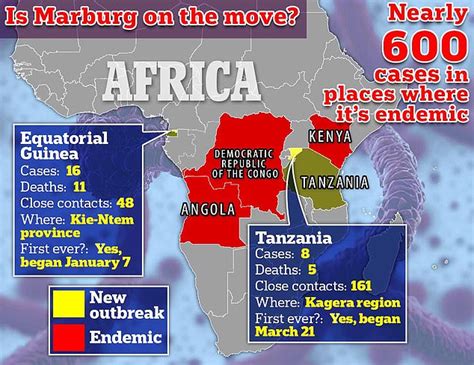 Deadly Marburg virus causes first outbreak in another African country ...