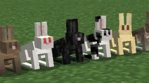 Minecraft Rabbit: Location, drops, uses and more!