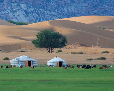 Best Time to Travel to Mongolia