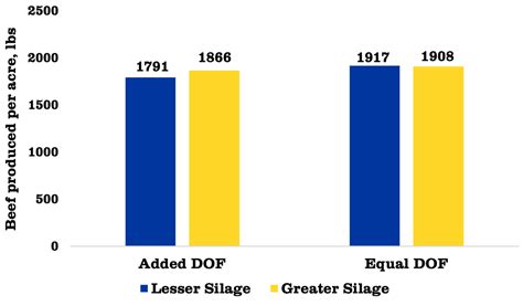 How Much Silage Can I Feed To Finishing Cattle?