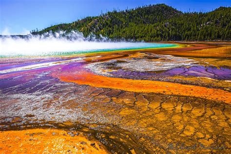 Yellowstone Hot Springs | Yellowstone hot springs, Hot springs, Yellowstone