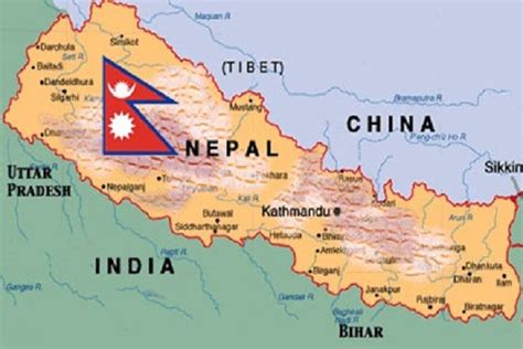 Cow becomes national animal of Nepal ! - Akela Bureau of Investigation