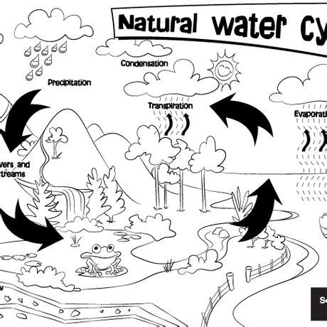 Natural water cycle colouring sheet | South East Water Education