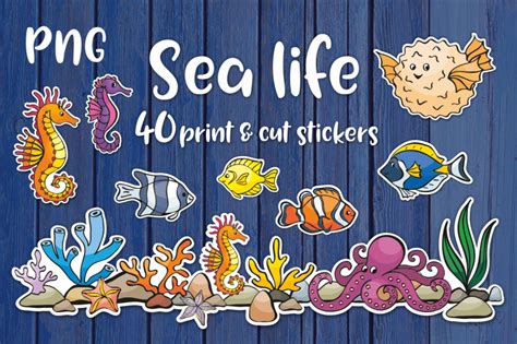 Sea life printable stickers bundle PNG By Olga Belova | TheHungryJPEG