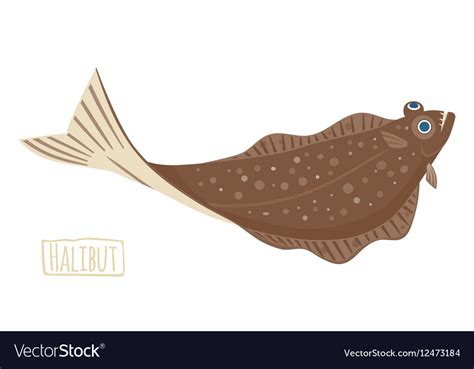 Halibut Royalty Free Vector Image - VectorStock