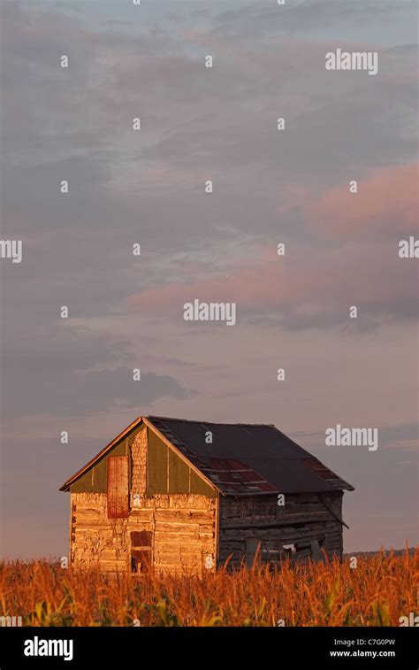 old barn at sunset Stock Photo - Alamy