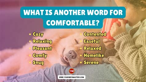 What is another word for Comfortable? | Comfortable Synonyms, Antonyms and Sentences - Your Info ...