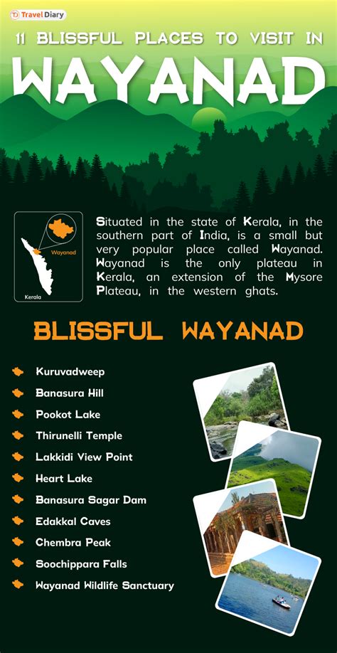 12 Mesmerizing Places to Visit in Wayanad