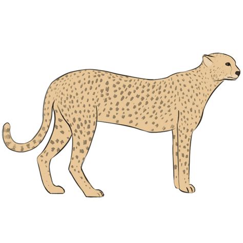 How to Draw a Cheetah - Easy Drawing Art