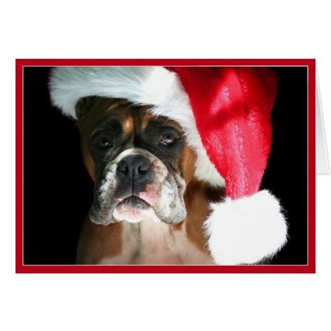 Dog Christmas Cards - The Cool Card Shop