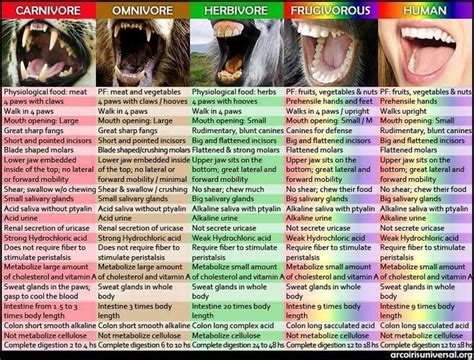 #omnivores #carnivores #herbivores #human #vegetarian #vegan #meat | Reasons to go vegan ...