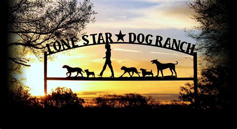 Lone Star Dog Ranch | Dallas Dog Boarding | Plano Doggie Daycare ...