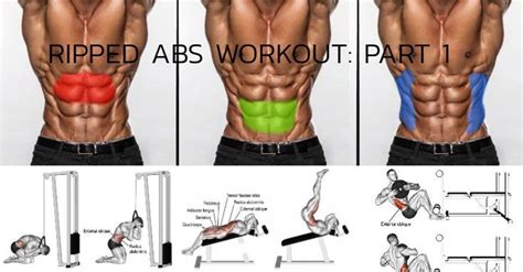 6 Exercises For Insanely Ripped Summer Ab Gains: Part 1 - GymGuider.com | Ripped abs, Abs ...