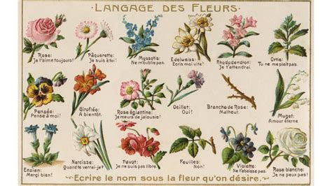 The secret Victorian language that's back in fashion - BBC Culture