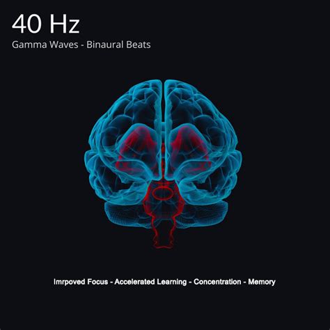 Dr. Andrew Huberman – How 40Hz Binaural Beats Can Improve Your Focus ...