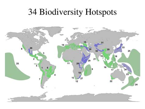 PPT - Ecosystem Management And Preservation PowerPoint Presentation, free download - ID:1440301