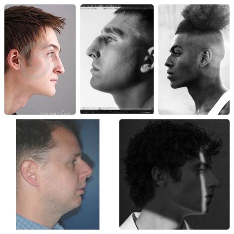 Convex Profile | Interesting faces, Male face, Hooked nose