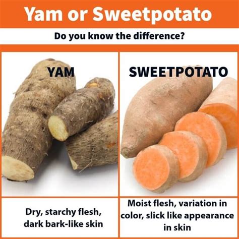 Was ist Der Unterschied Zwischen einem Sweetpotato Und einem Yam? | North Carolina SweetPotatoes ...