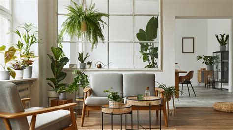 Aesthetic Indoor Plants That Will Upgrade Your Home Style