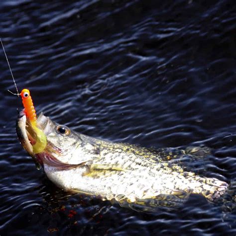 9 Best Crappie Fishing Lakes in Indiana - Best Fishing in America