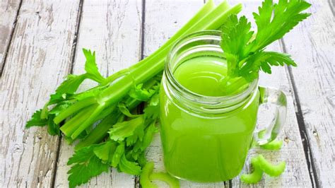 Wholesale best Celery powder Chinese suppliers - Xi´an Herb Bio