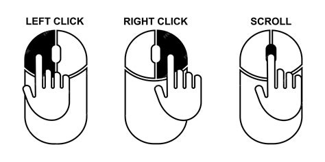 Premium Vector | Mouse click on left, right and scroll wheel button. instruction using for mouse.