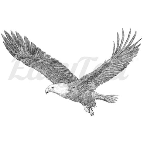 Soaring Eagle - Temporary Tattoo Realistic Temporary Tattoos, Custom ...