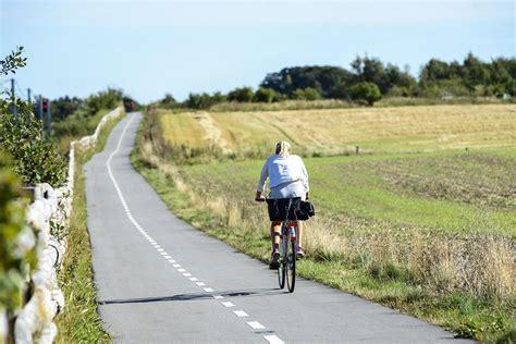 Breite Zu neun Amateur denmark cycle routes Schatten Sowieso Papst