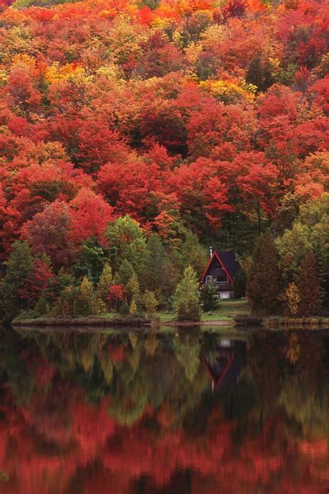 Autumn Lake, Quebec, Canada...have traveled to Quebec during this time ...