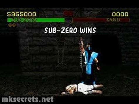 Mortal Kombat 1 - Sub-Zero Fatality - YouTube