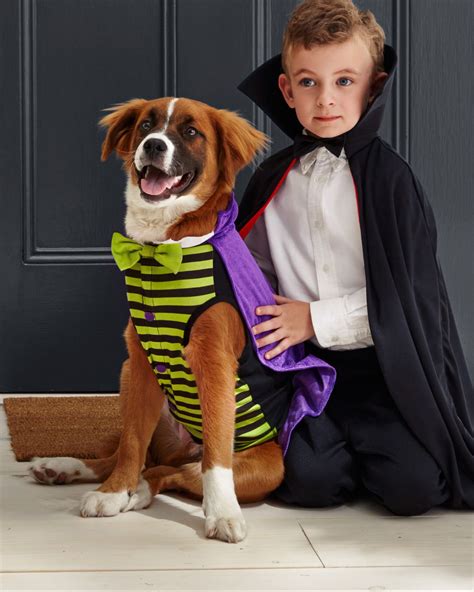 Matching Owner and Dog Costumes for a Pet-rifyingly Cute Halloween | Dog halloween outfits, Dog ...