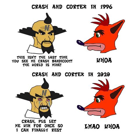 Crash bandicoot meme | Crash bandicoot, Crash bandicoot characters ...