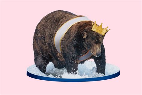 Fat Bear Week 2022 has a winner: 747 is champ again - The Washington Post