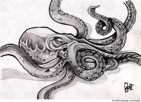 Kraken Drawing, Pencil, Sketch, Colorful, Realistic Art Images | Octopus drawing, Octopus art ...