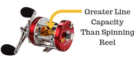 Baitcaster vs Spinning Reel with Pros and Cons [Buying guide]