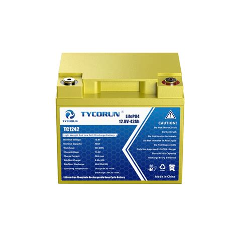 12 Volt 42Ah Lithium Deep Cycle Battery-Tycorun Batteries